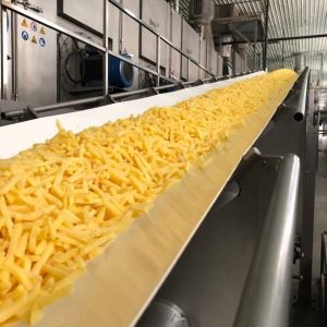 Correias de PU, PVC e Silicone