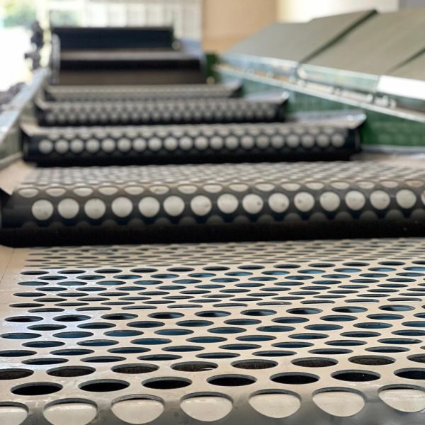 baruck-correias-correia-pvc-2